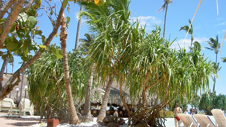 Dominicaanse republiek 2004-19.jpg